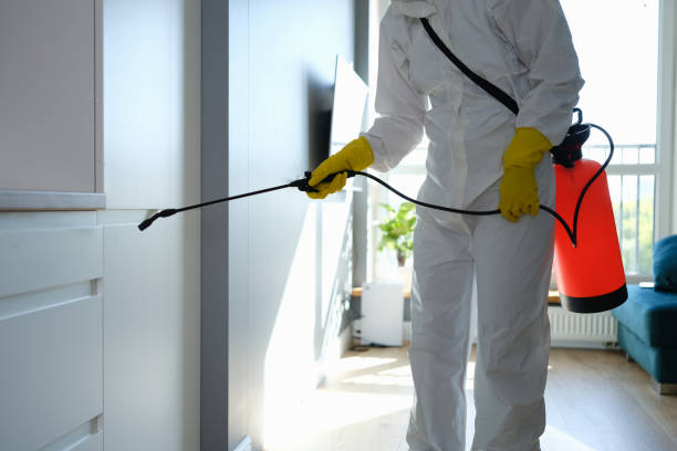 Best Mold Cleaning Services  in Rural Hill, TN