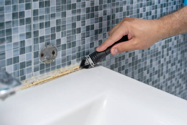 Best Mold Damage Repair  in Rural Hill, TN
